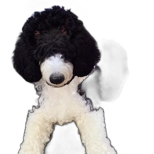 animal, staff, creature, 3d render transparent PNG cut-out