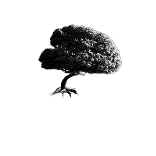 tree, animal, creature, hair, photorealistic, concept art, pencil sketch, fantasy art transparent PNG cut-out