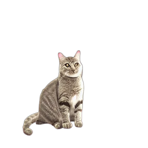 animal, staff, creature, jewelry, photorealistic, 3d render, pixel art, concept art transparent PNG cut-out