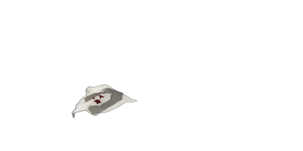 hat, jewelry, weapon, mask transparent PNG cut-out