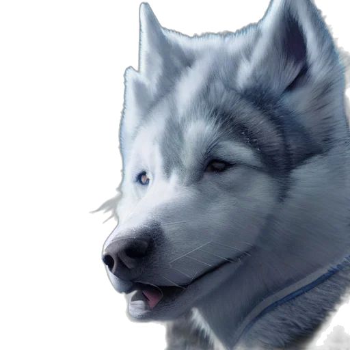 animal, face, staff, creature transparent PNG cut-out
