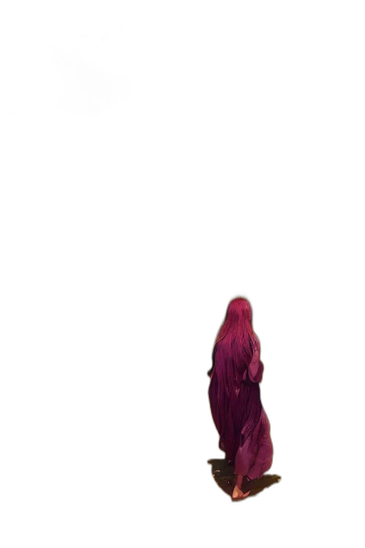 dress, hair, creature, animal transparent PNG cut-out