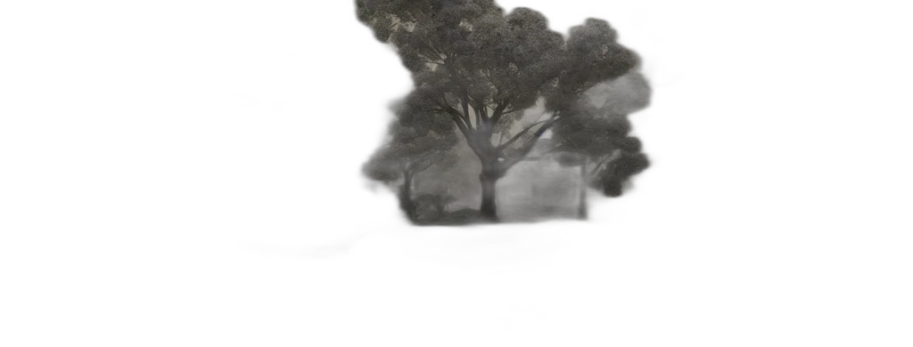 tree, crown, hair, creature transparent PNG cut-out