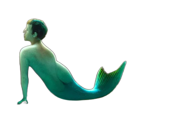 creature, jewelry, animal, bottle transparent PNG cut-out
