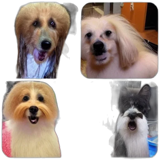 animal, creature, hair, photorealistic, 3d render, bad, dog, grooming transparent PNG cut-out