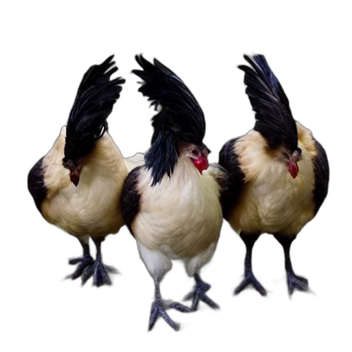 animal, food, creature, crown, 3d render, photorealistic, concept art, pixel art transparent PNG cut-out