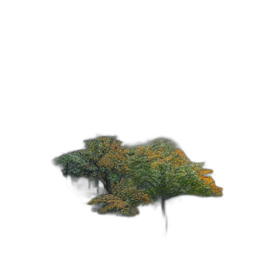 tree, hat, dragon, crown transparent PNG cut-out