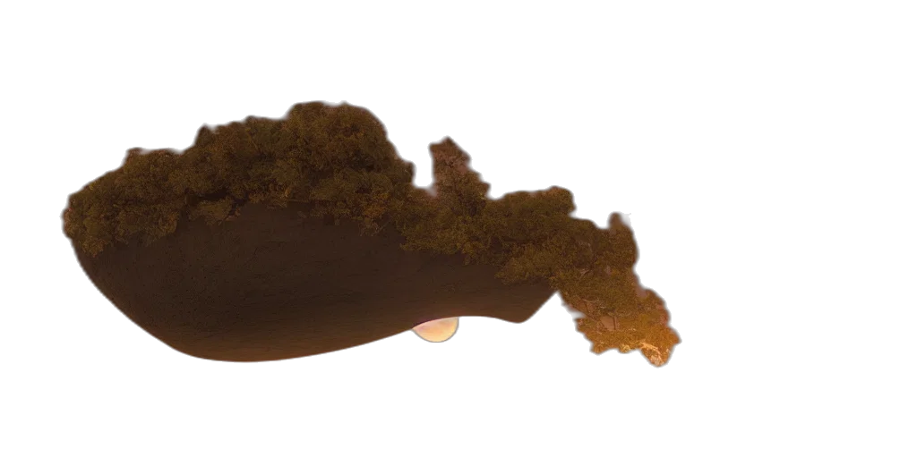 crown, hair, staff, food transparent PNG cut-out