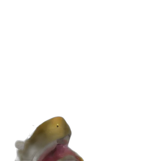 creature, hat, animal, food transparent PNG cut-out