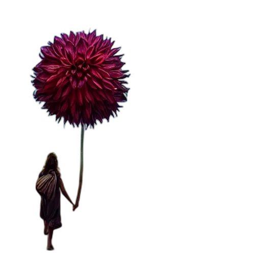 flower, umbrella, staff, hair, concept art, photorealistic, 3d render, watercolor transparent PNG cut-out