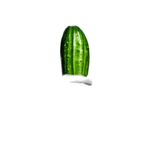food, weapon, bottle, hat, photorealistic, pixel art, 3d render, concept art transparent PNG cut-out