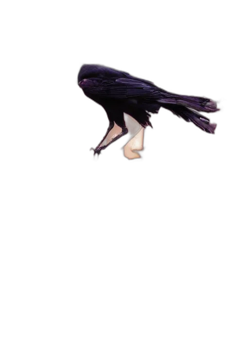 animal, creature, shoes, dragon, 3d render, concept art, pixel art, photorealistic transparent PNG cut-out