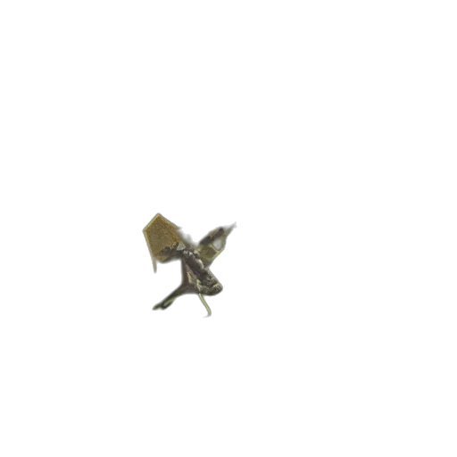 dragon, animal, creature, umbrella transparent PNG cut-out