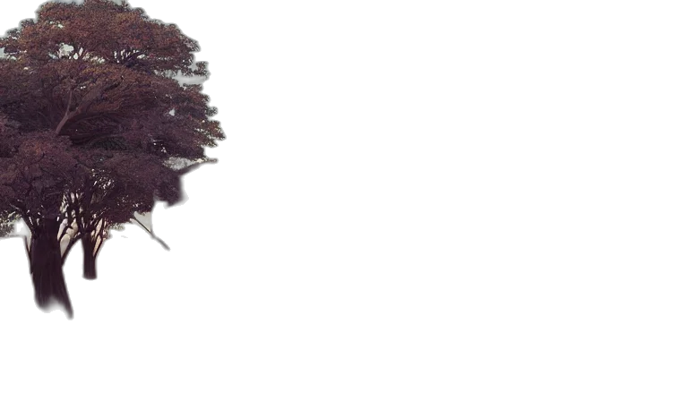 tree, hair, crown, hat transparent PNG cut-out