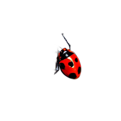 animal, jewelry, creature, weapon, 3d render, pixel art, photorealistic, concept art transparent PNG cut-out