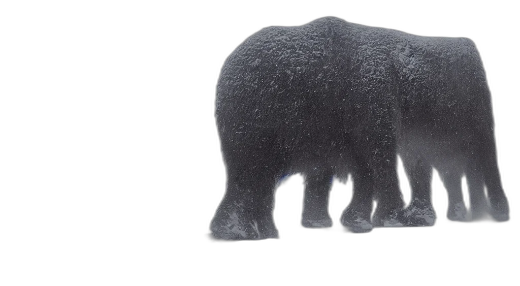 animal, creature, hair, hat transparent PNG cut-out