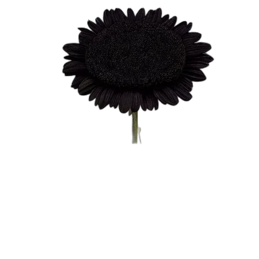 umbrella, flower, crown, staff transparent PNG cut-out