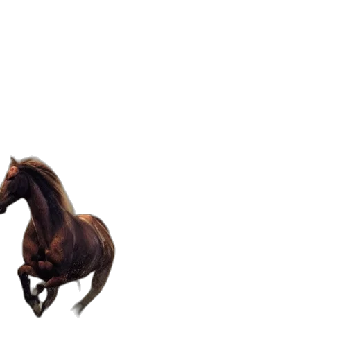 animal, creature, hair, hat, photorealistic, 3d render, concept art, pixel art transparent PNG cut-out