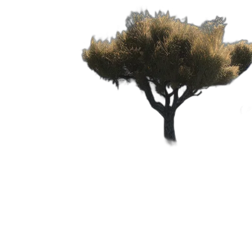 tree, crown, hair, creature transparent PNG cut-out