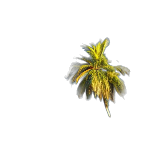 flower, tree, crown, hair, 3d render, photorealistic, concept art, pixel art transparent PNG cut-out