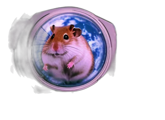 animal, creature, food, 3d render, concept art, photorealistic, vaporwave, outer space transparent PNG cut-out
