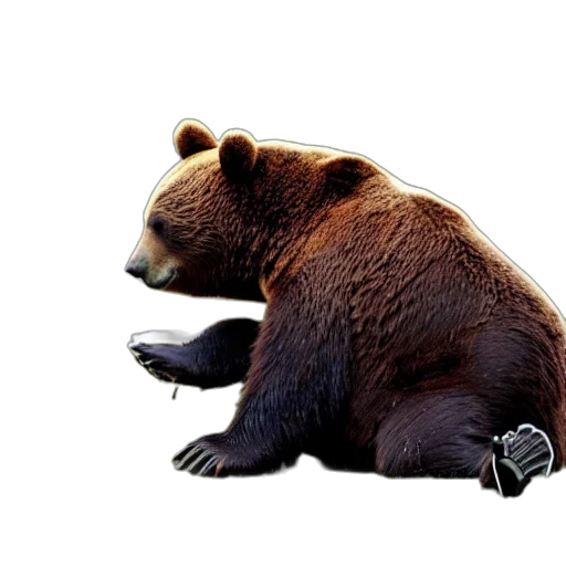 animal, staff, creature, jewelry transparent PNG cut-out