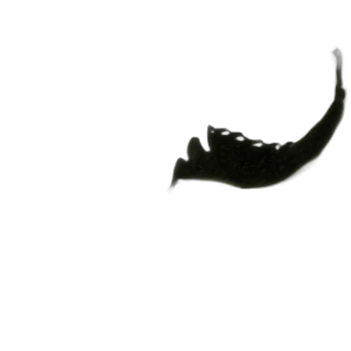 crown, staff, shoes, jewelry transparent PNG cut-out
