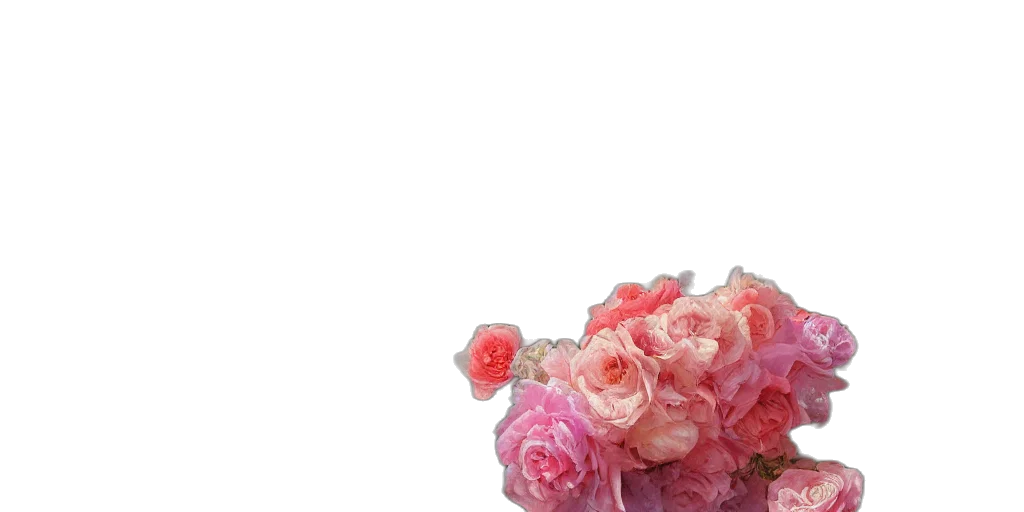 flower, crown, dress, jewelry transparent PNG cut-out