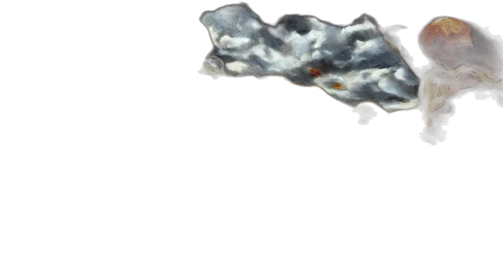 hair, sword, dragon, weapon transparent PNG cut-out