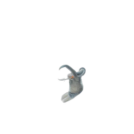 jewelry, bottle, animal, weapon transparent PNG cut-out