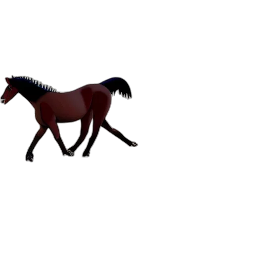 animal, creature, dragon, hair transparent PNG cut-out