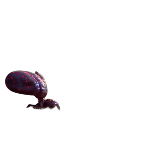 creature, animal, hat, robot, concept art, 3d render, pixel art, photorealistic transparent PNG cut-out