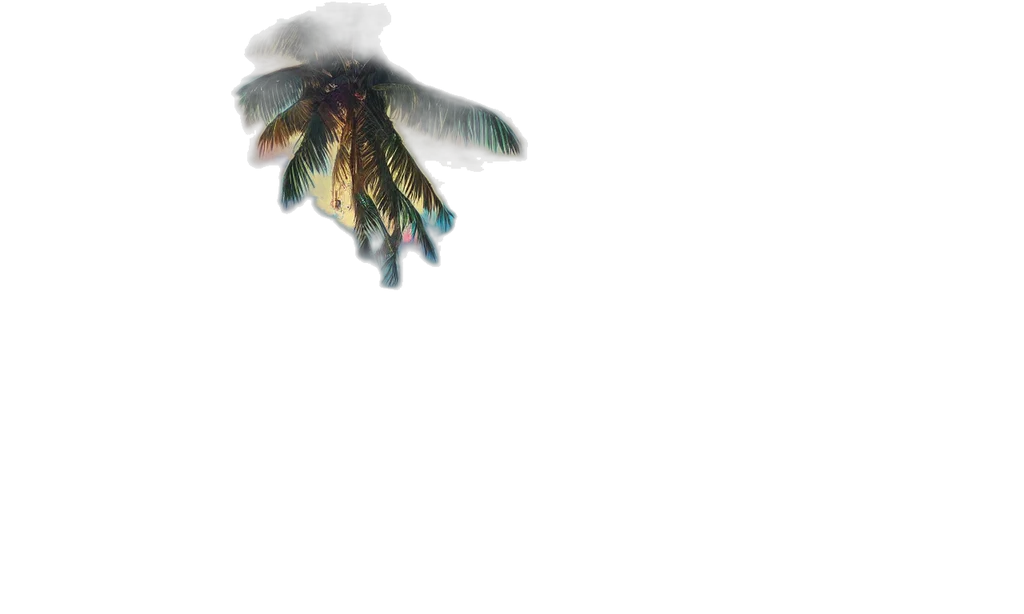 dragon, creature, animal, hair transparent PNG cut-out