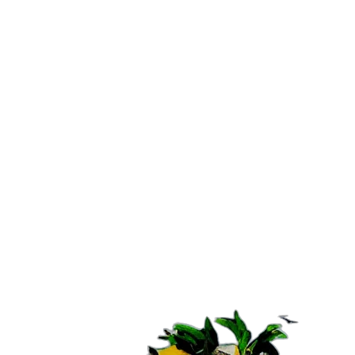 dragon, staff, weapon, creature, 3d render, pixel art, concept art, photorealistic transparent PNG cut-out