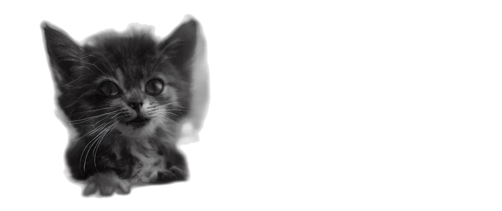 animal, creature, face, mask transparent PNG cut-out