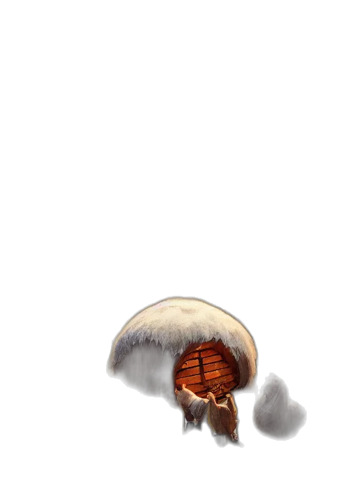 hat, umbrella, staff, hair transparent PNG cut-out