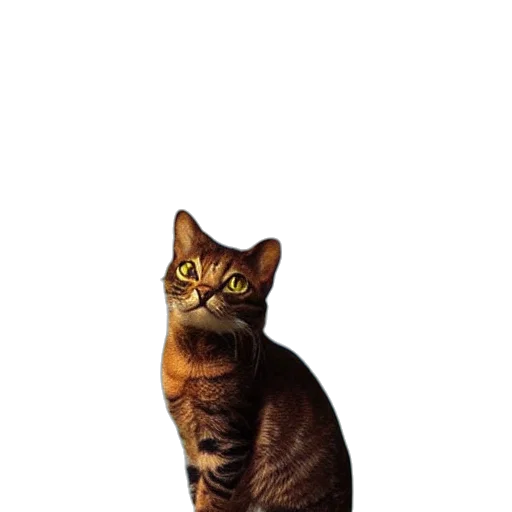 animal, staff, creature, face transparent PNG cut-out