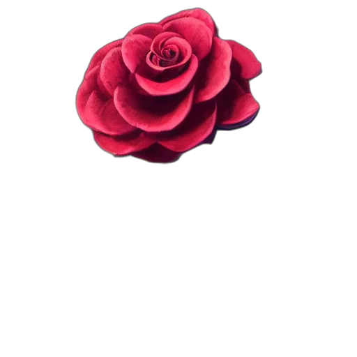flower, crown, jewelry, hat transparent PNG cut-out