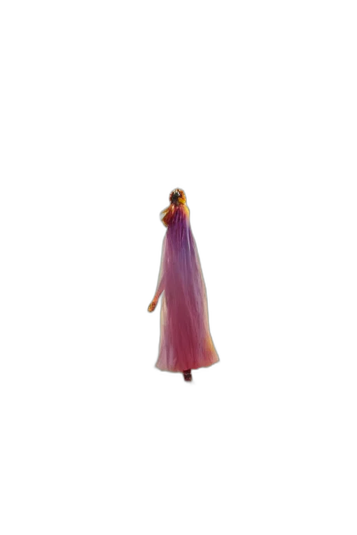 dress, staff, jewelry, hair transparent PNG cut-out
