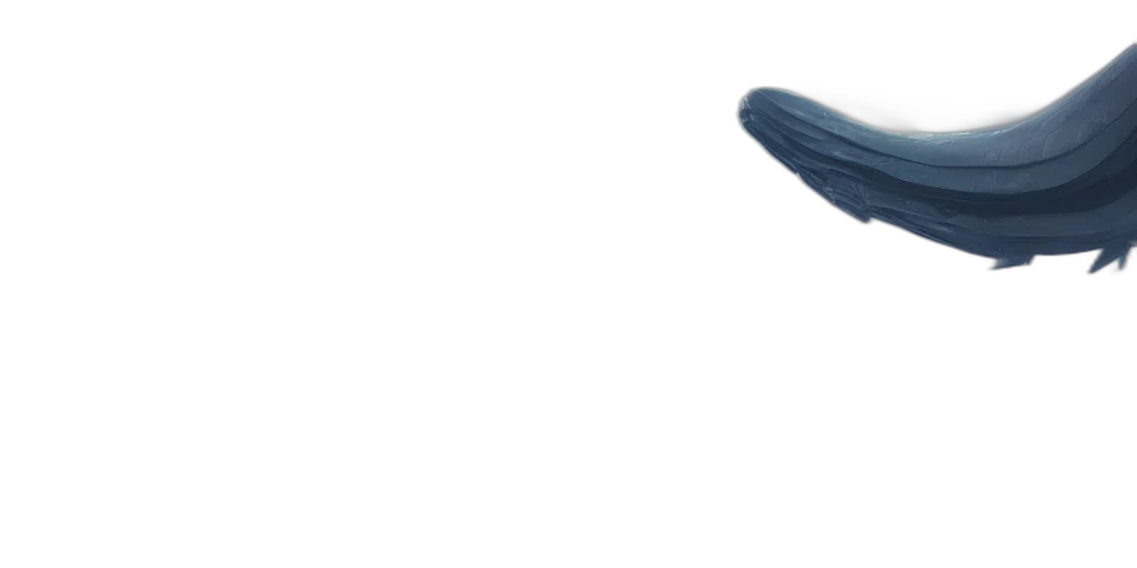 umbrella, shoes, staff, hat transparent PNG cut-out