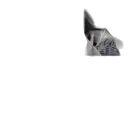hat, animal, shoes, umbrella transparent PNG cut-out