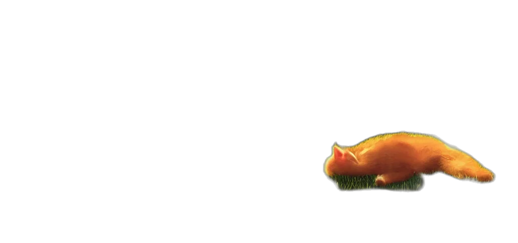 food, shoes, creature, animal transparent PNG cut-out