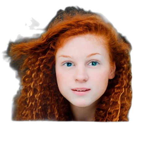 hair, face, crown, animal transparent PNG cut-out