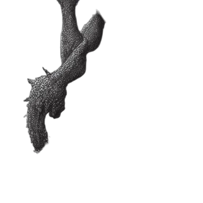 dragon, hair, crown, sword transparent PNG cut-out