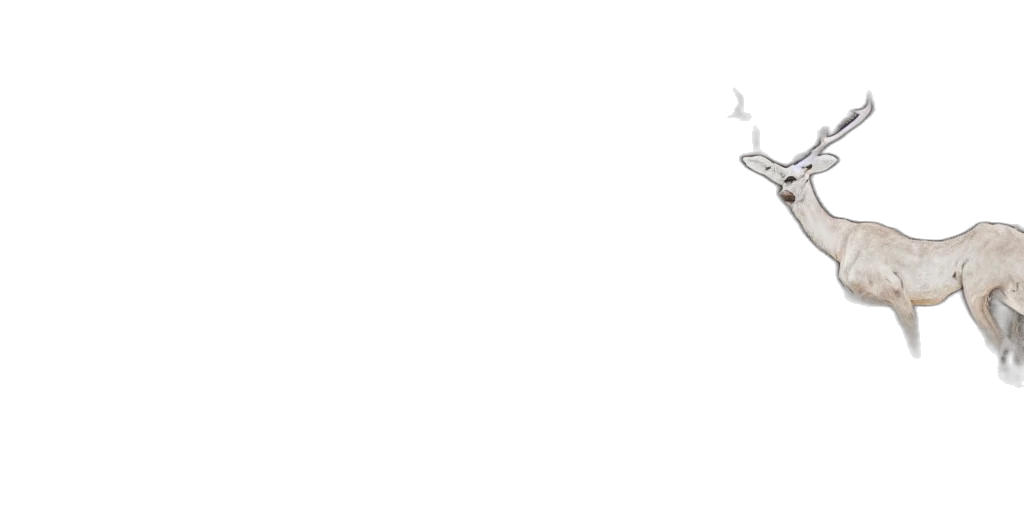 staff, dragon, mask, animal transparent PNG cut-out