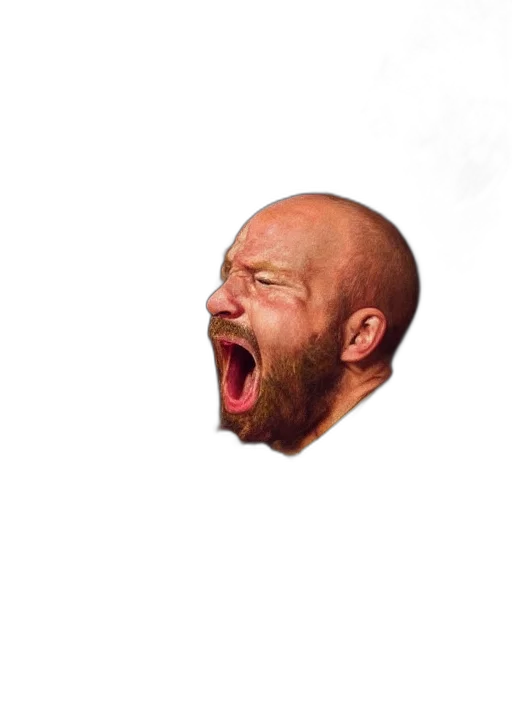 face, animal, creature, mask transparent PNG cut-out