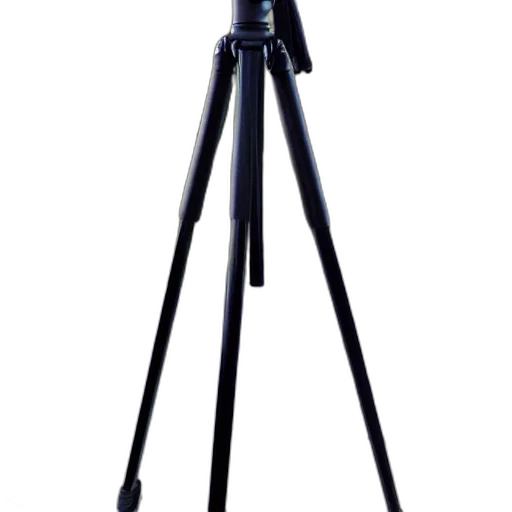 staff, weapon, umbrella, animal, 3d render, photorealistic, concept art, tripod transparent PNG cut-out