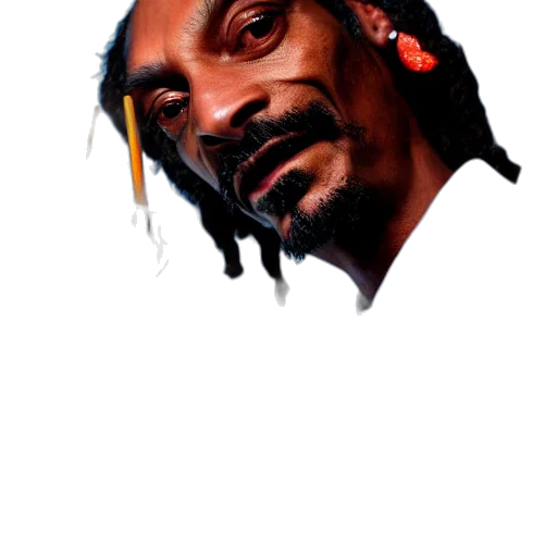 face, animal, jacket, mask transparent PNG cut-out