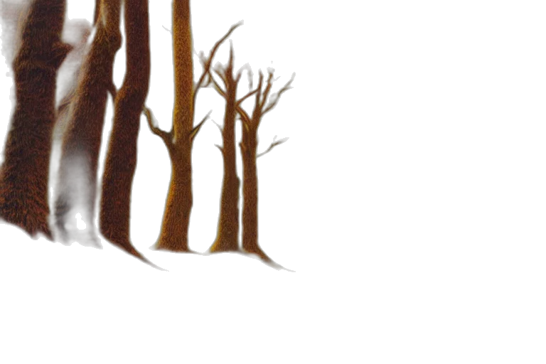 tree, creature, concept art, watercolor, photorealistic, fantasy art, forest, fog transparent PNG cut-out