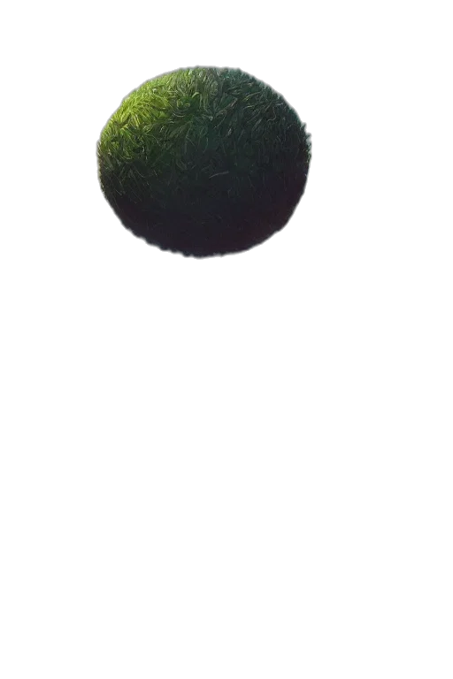 tree, hair, food, staff, photorealistic, 3d render, pixel art, oil painting transparent PNG cut-out